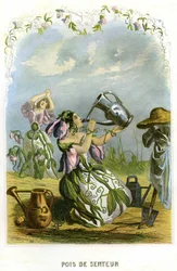Illustrasjon for «Animerte blomster»