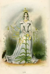 Illustrasjon for «Animerte blomster»