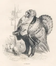 Tyrkia som bankmann. Miniatyrbilder illustrert av JJ Granville. Gravering signert Tamisier i delen med tittelen "Memories of an old crow" skrevet av PJ Stahl i "Scener fra dyrenes private og offentlige liv". Paris, J. Hetzel og Paulin