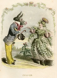 Illustrasjon for «Animerte blomster»