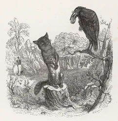 La Fontaines fabel: Kråken og reven, ca. 1860 (gravering)