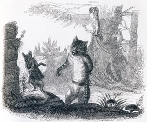 Katten og rotten (Le chat et le rat) - Fabler av La Fontaine