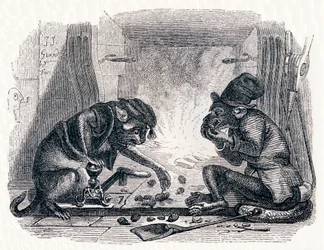 Eselet og katten (Le singe et le chat) - Fabler av La Fontaine