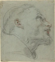 Leder av Saint Francis