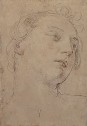 Lederen for Europa,