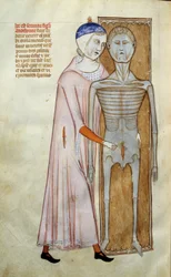 Medisin: anatomi og kirurgisk bord som representerer en disseksjonsscene - Side hentet fra manuskriptet "Liber notables of Philip the seventh king of the franks, extracted from the books of Galien"" av Gui de Pavie