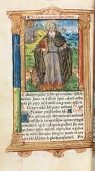 Trykt tidebok (bruk av Roma): fol. 104v, St. Anthony Abbot