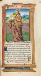 Trykt tidebok (bruk av Roma): fol. 98r, Døperen Johannes