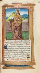 Trykt tidebok (bruk av Roma): fol. 98r, Døperen Johannes