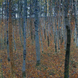 Bøkeskog I, 1902