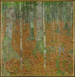 Bøkeskog (Bjørkeskog)