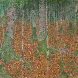 Bjørkeskog