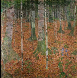 Bjørkeskog