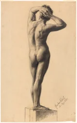 Naken mann