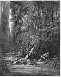 Strømmen og elven - fra Jean de La Fontaines (Lafontaine) «Fabler» (1621-95) - gravering etter Gustave Doré (1832-83) - privatsamling