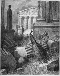 Påfuglen klager til Juno - fra «Fabler» av Jean de La Fontaine (Lafontaine) (1621-95) - gravering etter Gustave Doré (1832-83) - privat samling