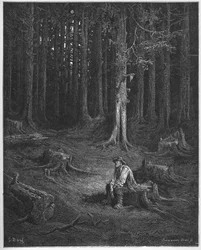 la foret et le bucheron - skogen og vedhoggeren - fra 
