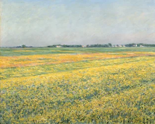 Sletten av Gennevilliers, gule felt; La plaine de Gennevilliers, champs jaunes, 1884