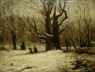 Vinterlandskap