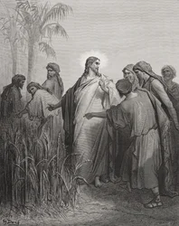 Jesus og hans disipler på kornåkeren, illustrasjon fra Dorés «Den hellige bibel», gravert av Pannemaker, 1866
