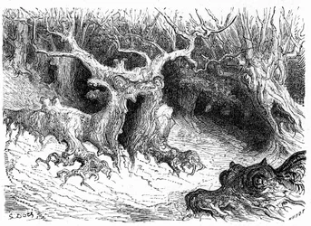 Monstrøs bøk i Ossau-dalen, antropomorfe monstertrær. Gravering av Gustave Dore som illustrerer boken «Voyage aux Pyrenees d#39;Hippolyte Taine», Hachette 1860.