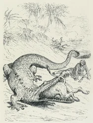 «Baronen av Münchausens eventyr» (Munchhausen): Den fryktløse baronen av Münchausens forfulgte vei krysser veien til en enorm krokodille som vil sluke løven. Illustrasjon av Gustave Doré Slutten av 1800-tallet.