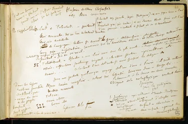 Folio 41 i arbeidsboken n. 19 Manuskriptside av Gustave Flauberts utkast. Planer for Bouvard og Pecuchet. BHVP.