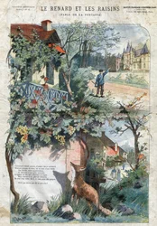 Reven og druene. Fabler av Jean de La Fontaine (1621-95).Illustrasjon av Gustave Fraipont (1849 -1923). Privat samling.