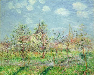 Blomstrende frukthage, l902