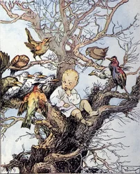 Illustrasjon for «La storia di Peter Pan», fabel av James Matthew Barrie (JM eller J.M. Barrie