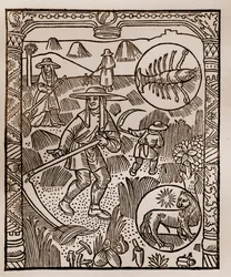 Hyrdekalender - Månedens arbeid - Juli - Tresnitt fra boken fra 1496 trykket av Guy Marchant (Guido Mercator) i Troyes - Hay, la coupe des hay - Gravering sur bois i "" Le grand Calendrier et compost des shepherds"" -