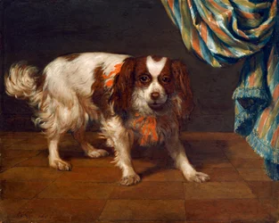 En King Charles Spaniel (olje på panel)
