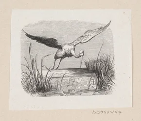 Illustrasjon til «Storkene» i H.C. Andersen, "Eventyr og historier", bind 1