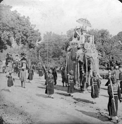 Lord og Lady Harding rir på en elefant, India, 1913.