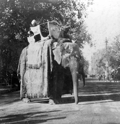 En elefant utenfor jernbanestasjonen i Delhi, India, 1900-tallet.