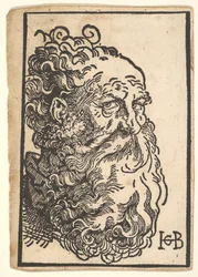 Hodet til en skjeggete mann, ca. 1518-19.