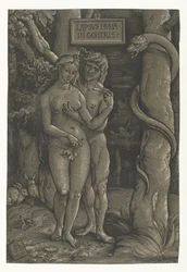 Adam og Evas fristelse i paradis Fall of Man Lapsvs Hvmani Generis (tittel på objekt)