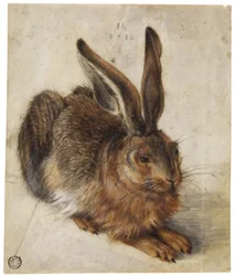 En hare