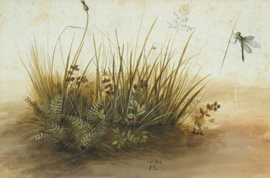 Et lite stykke gressvoll, 1584