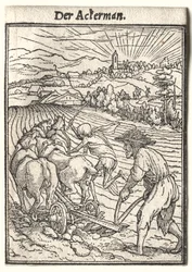 Dødedansen: Plogmannen