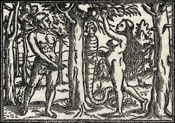 The Fall of Adam and Eva, fra 