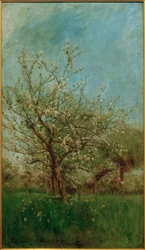 Blomstrende trær Uerdenbach