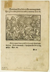 Mannaregnet fra Biblische Historien Künstlich fürgemalt, plate fem fra Tresnitt fra bøker fra det XVI århundre