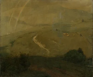 Regn i Schwarzwald
