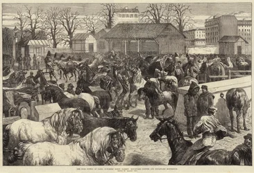 Matforsyningen i Paris, Butchers