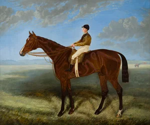 Salpinctes-a Race Horse, ca. 1814-82 (olje på lerret)