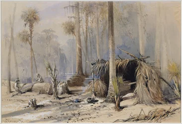 Cypress-Shingle Yard, Ocklawaha-elven, Florida