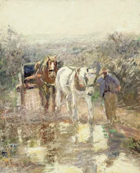 Hester og vogn