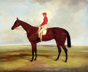 Lord Clifdens brune veddeløpshest, Surplice, med S. Templeman oppe (olje på lerret)
