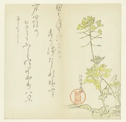 Blomster